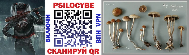 гидра зеркало  купить   Отрадное  Псилоцибиновые грибы Magic Shrooms 